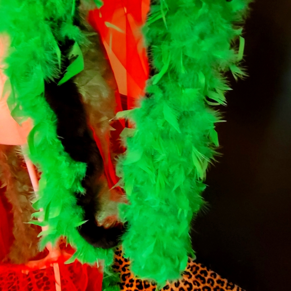 ❤💚Glamorous Tulle Robe💚❤️ - Picture 8 of 8